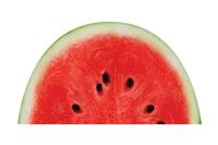 مخمل نیم گرد- طرح 4